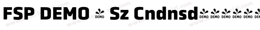 FSP DEMO - Sz Cndnsd字体转换